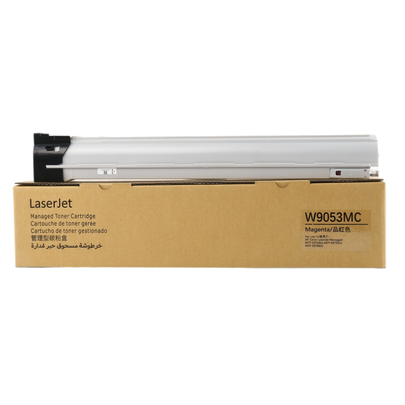 IMG_6951_pixian_ai(1)